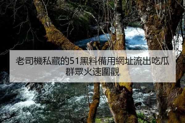老司機私藏的51黑料備用網址流出吃瓜群眾火速圍觀